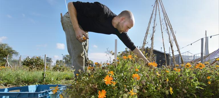 Afbeelding Vakexpert biologisch-dynamische landbouw