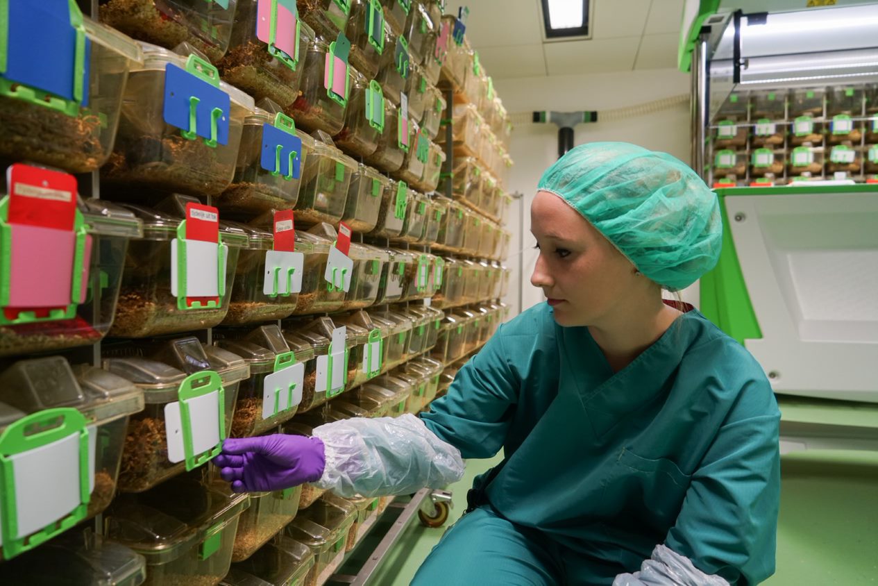 Afbeelding Biotechnicus