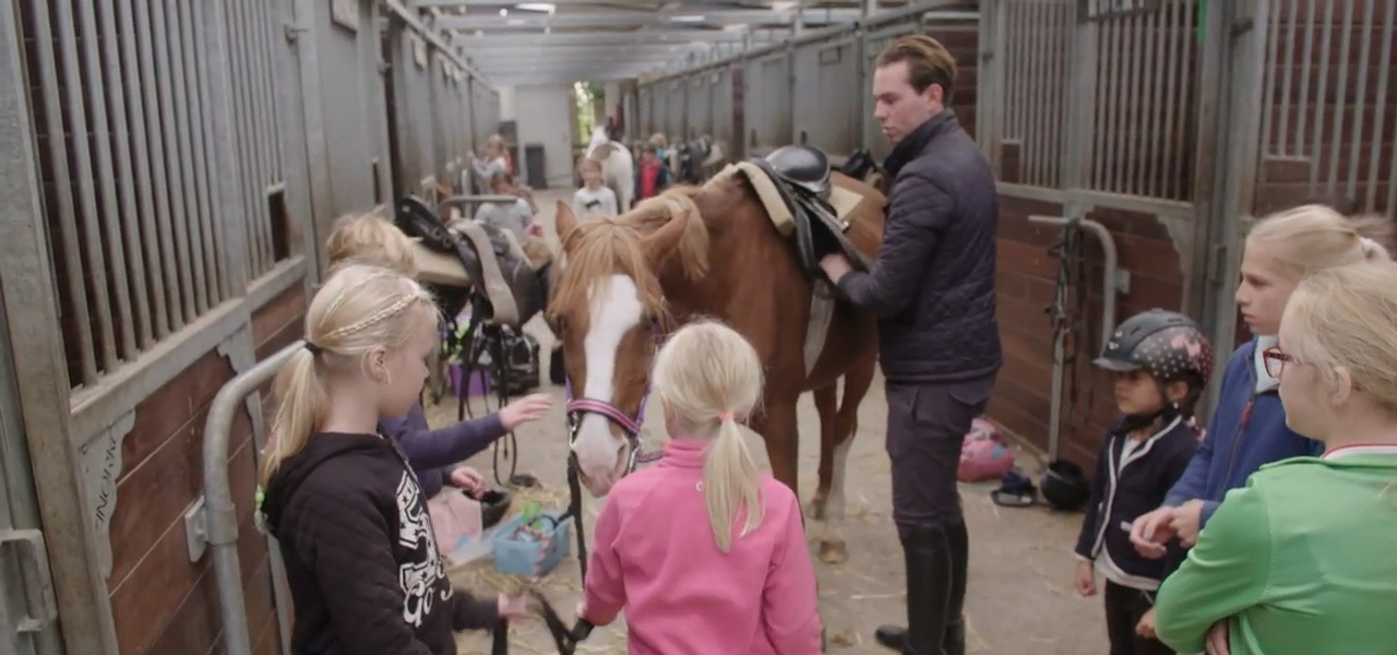 Afbeelding Vakbekwaam medewerker paardensport en -houderij