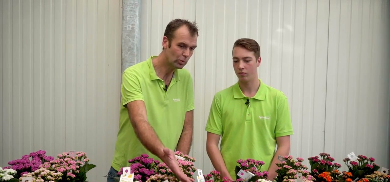 Afbeelding Vakexpert teelt en groene technologie
