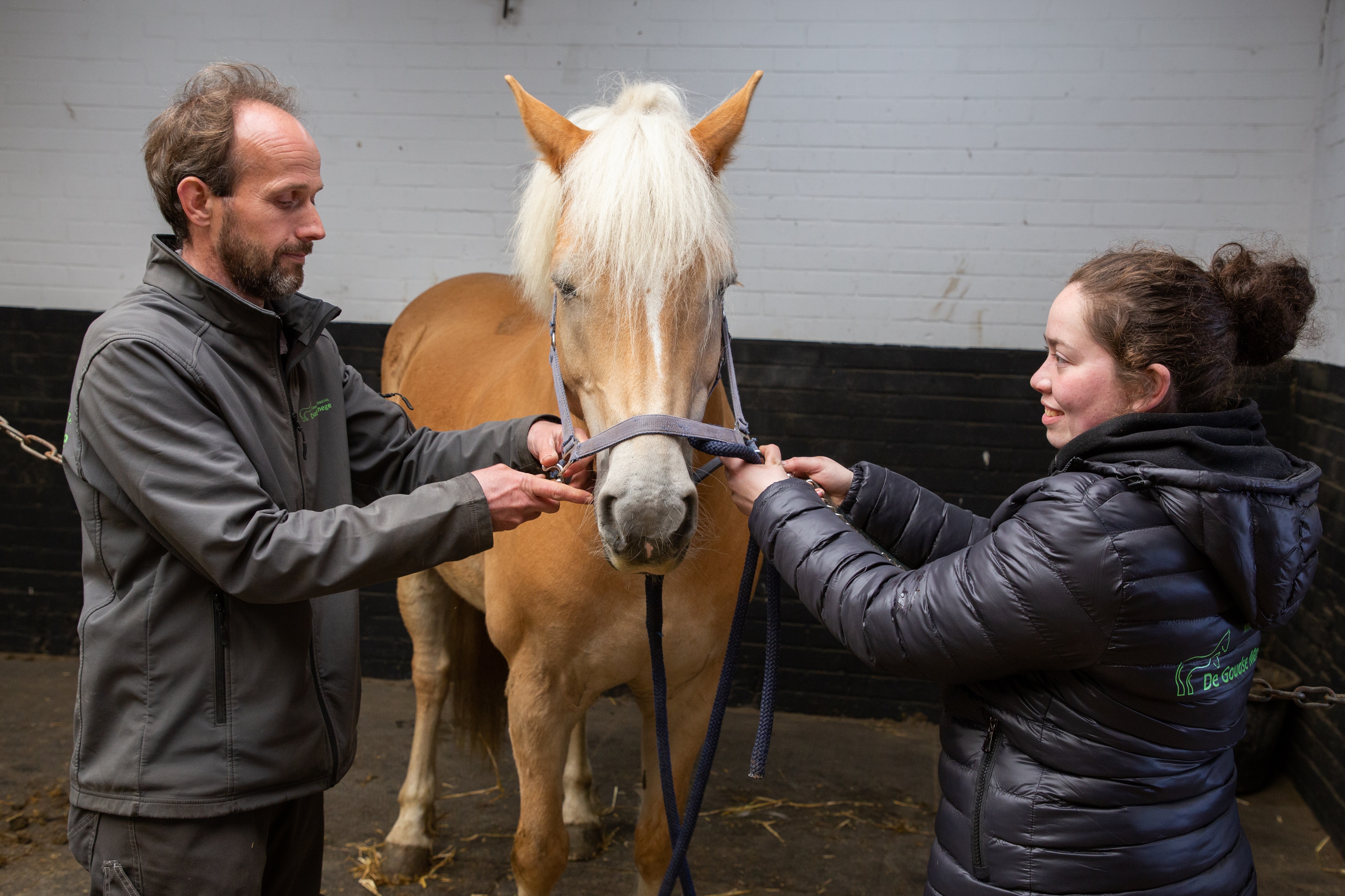 Afbeelding Bedrijfsleider paardensport en -houderij