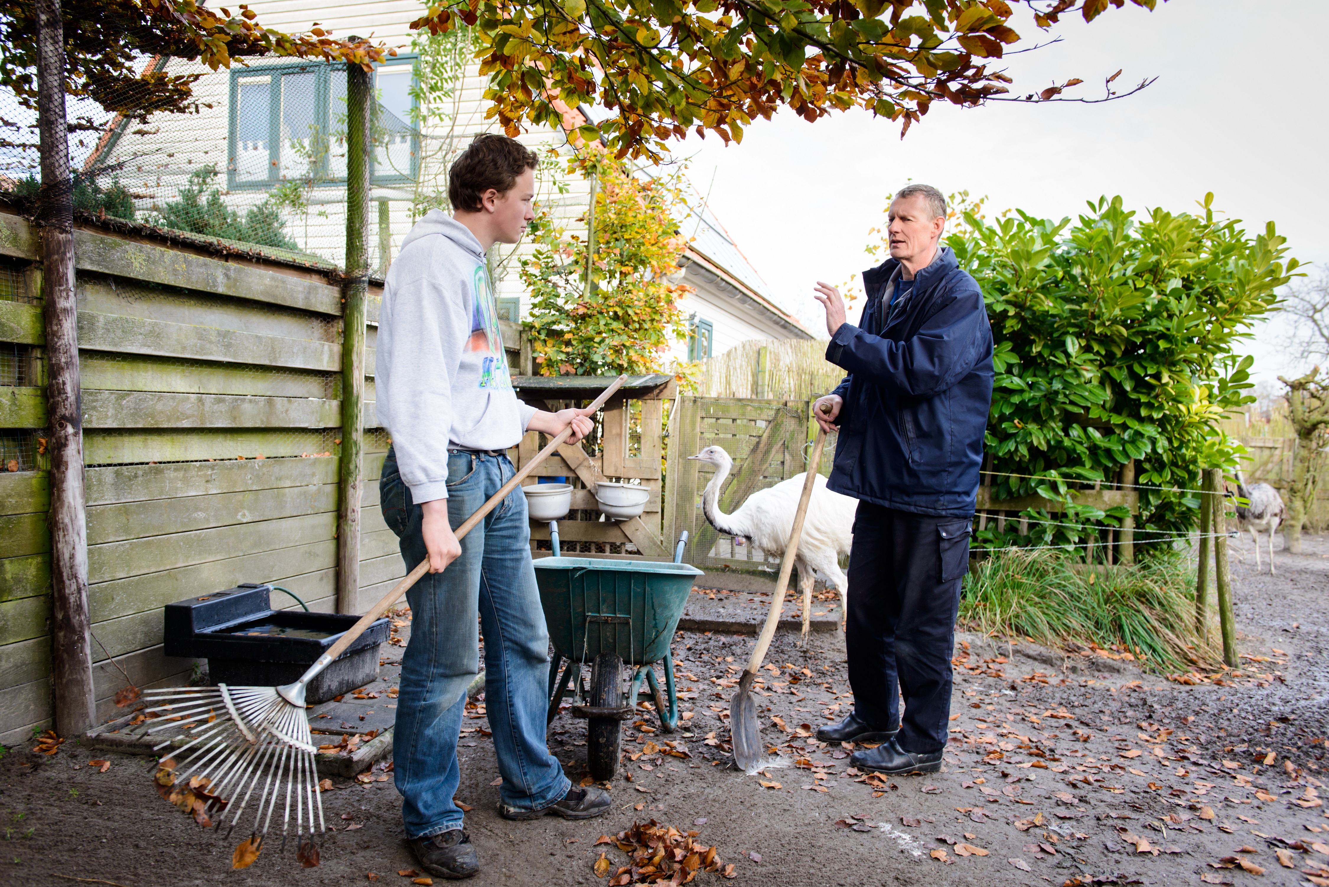 Afbeelding Medewerker dierverzorging