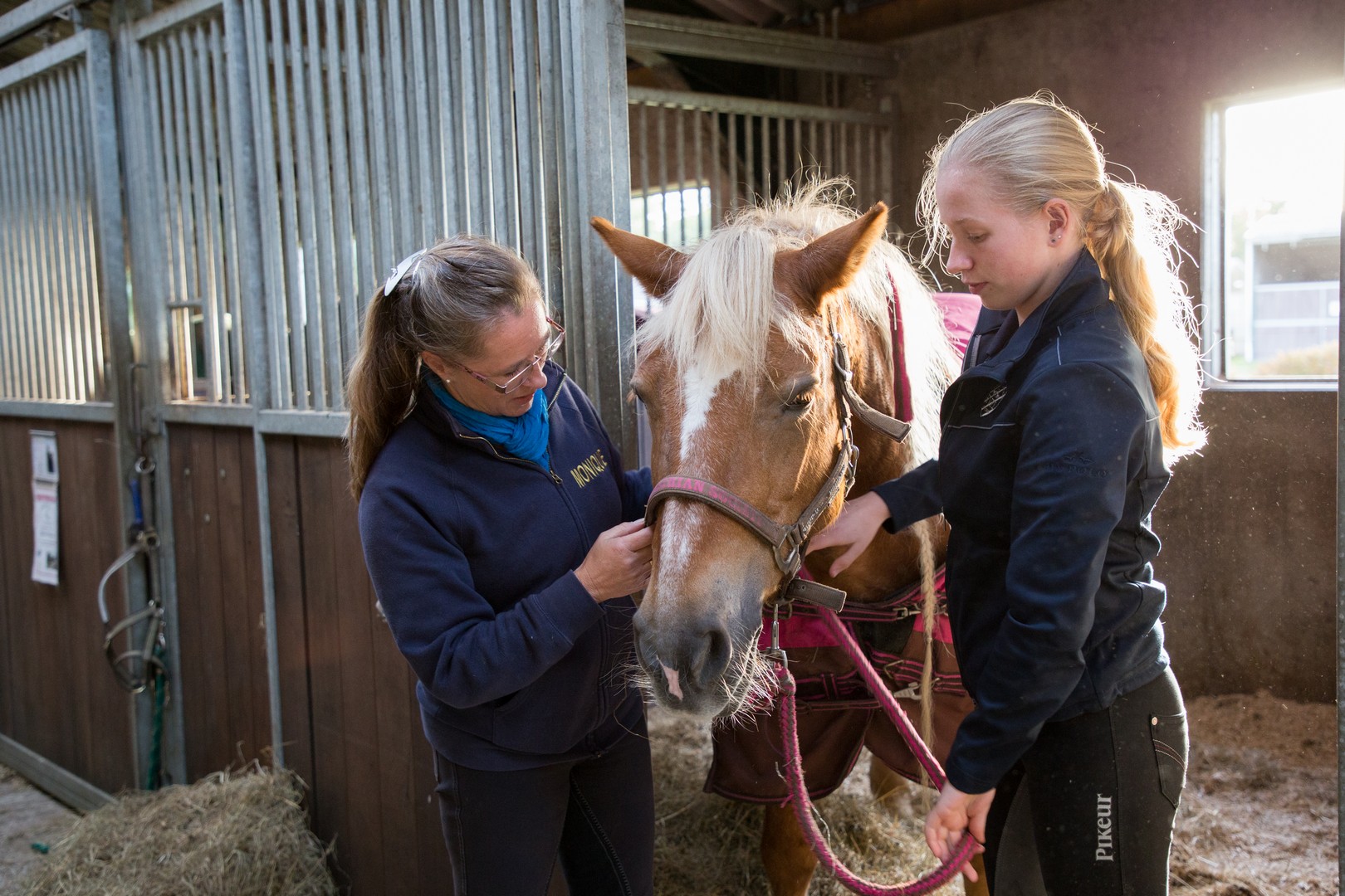Afbeelding Assistent plant, dier of groene omgeving