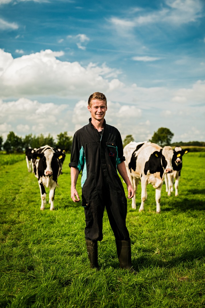 Afbeelding Medewerker veehouderij