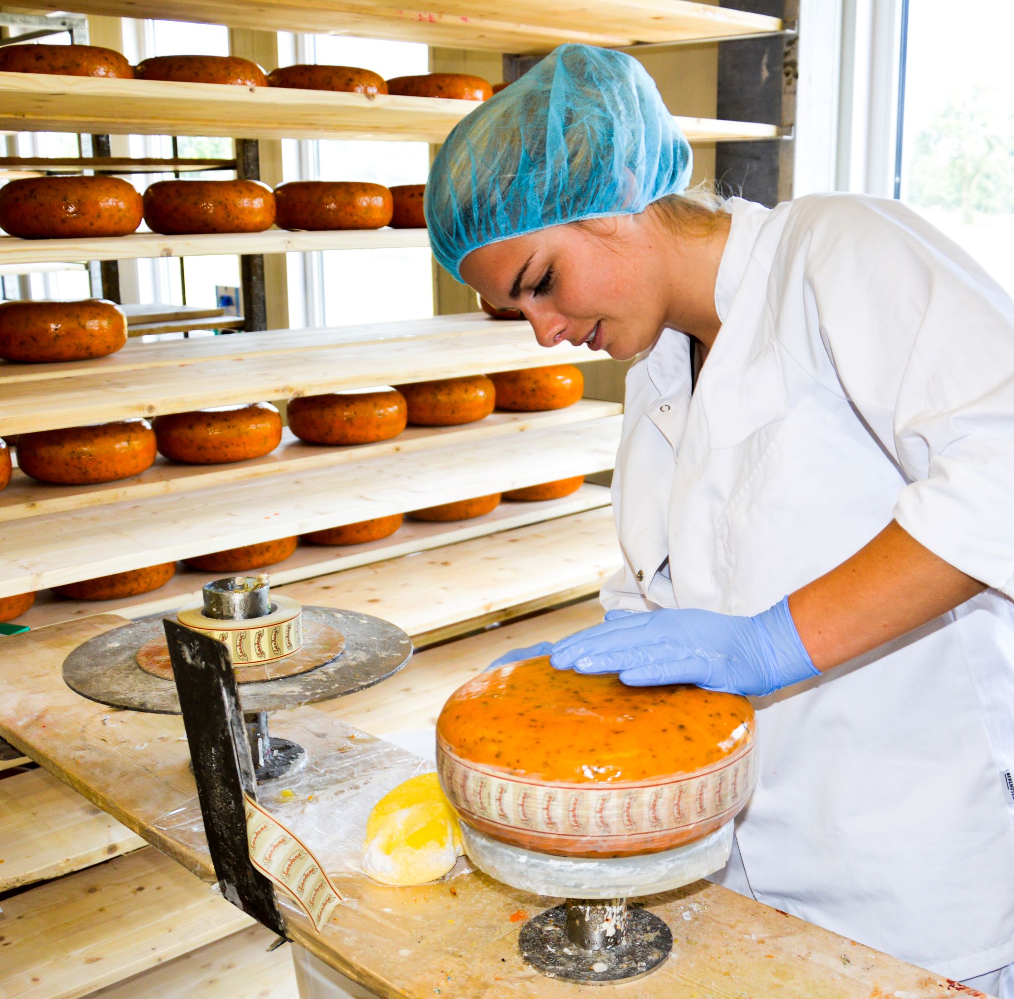 Afbeelding Vakbekwaam medewerker voeding, technologie en techniek