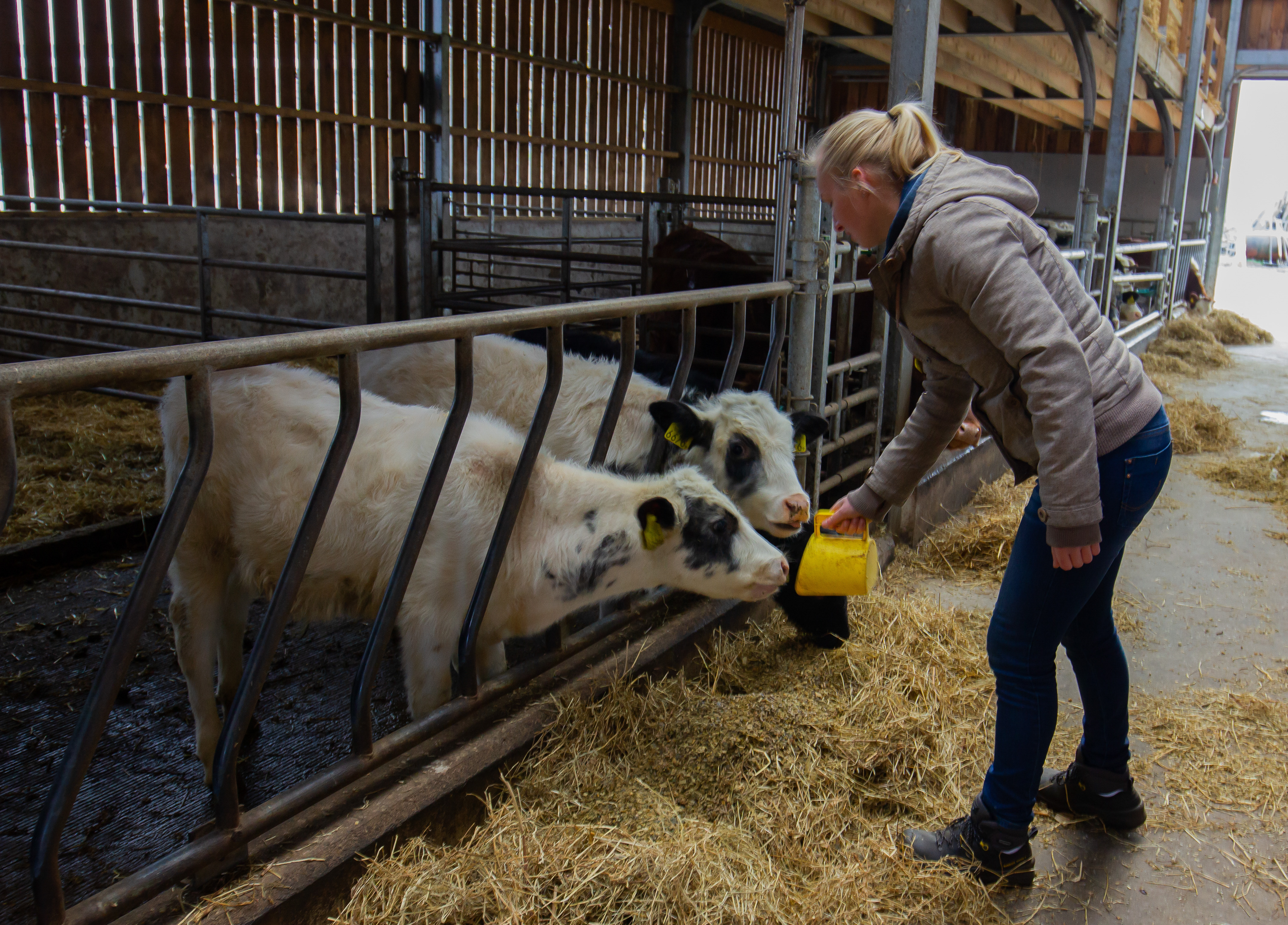Afbeelding Werkbegeleider zorgboerderij