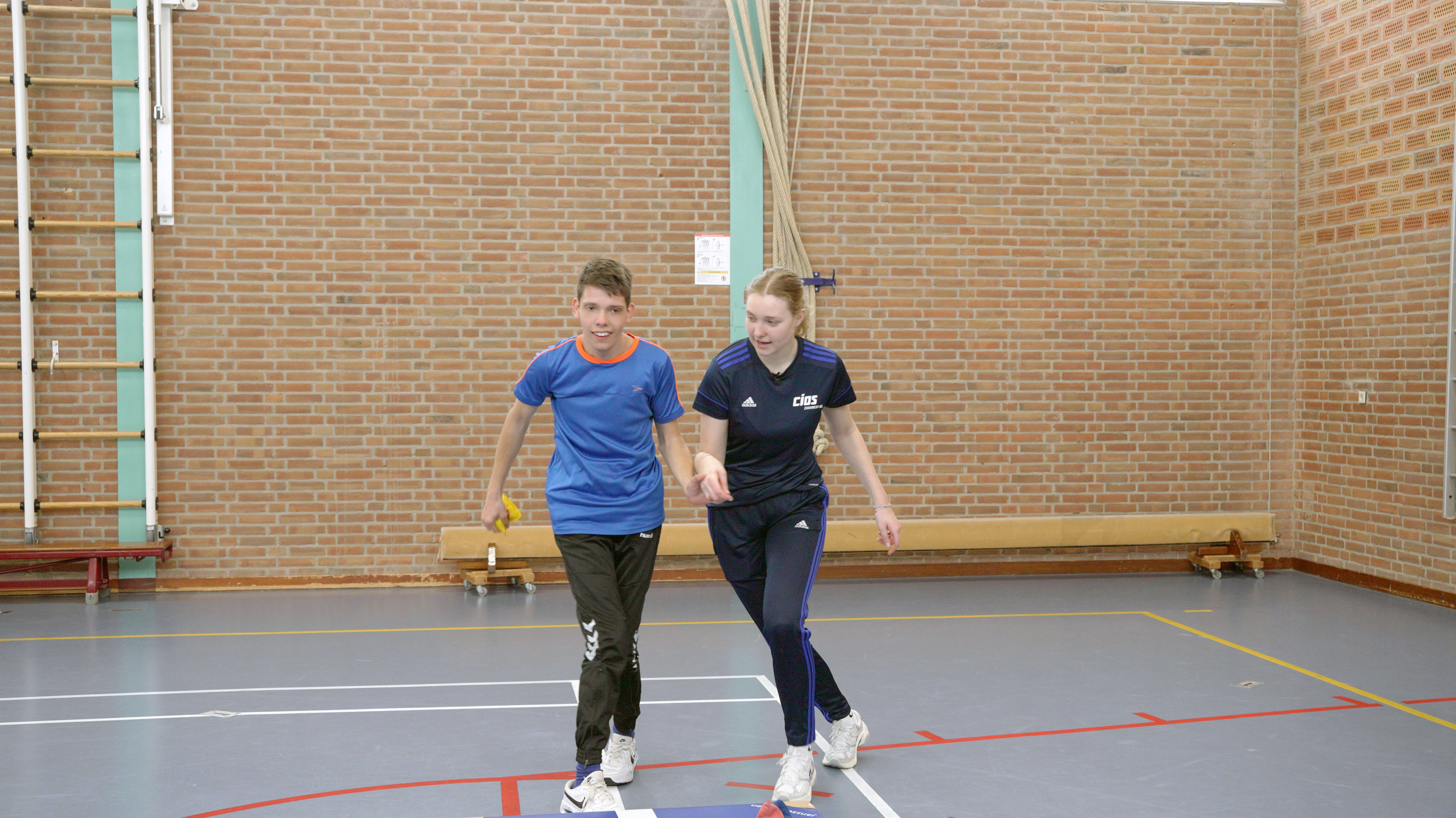 Afbeelding Bewegingsagoog