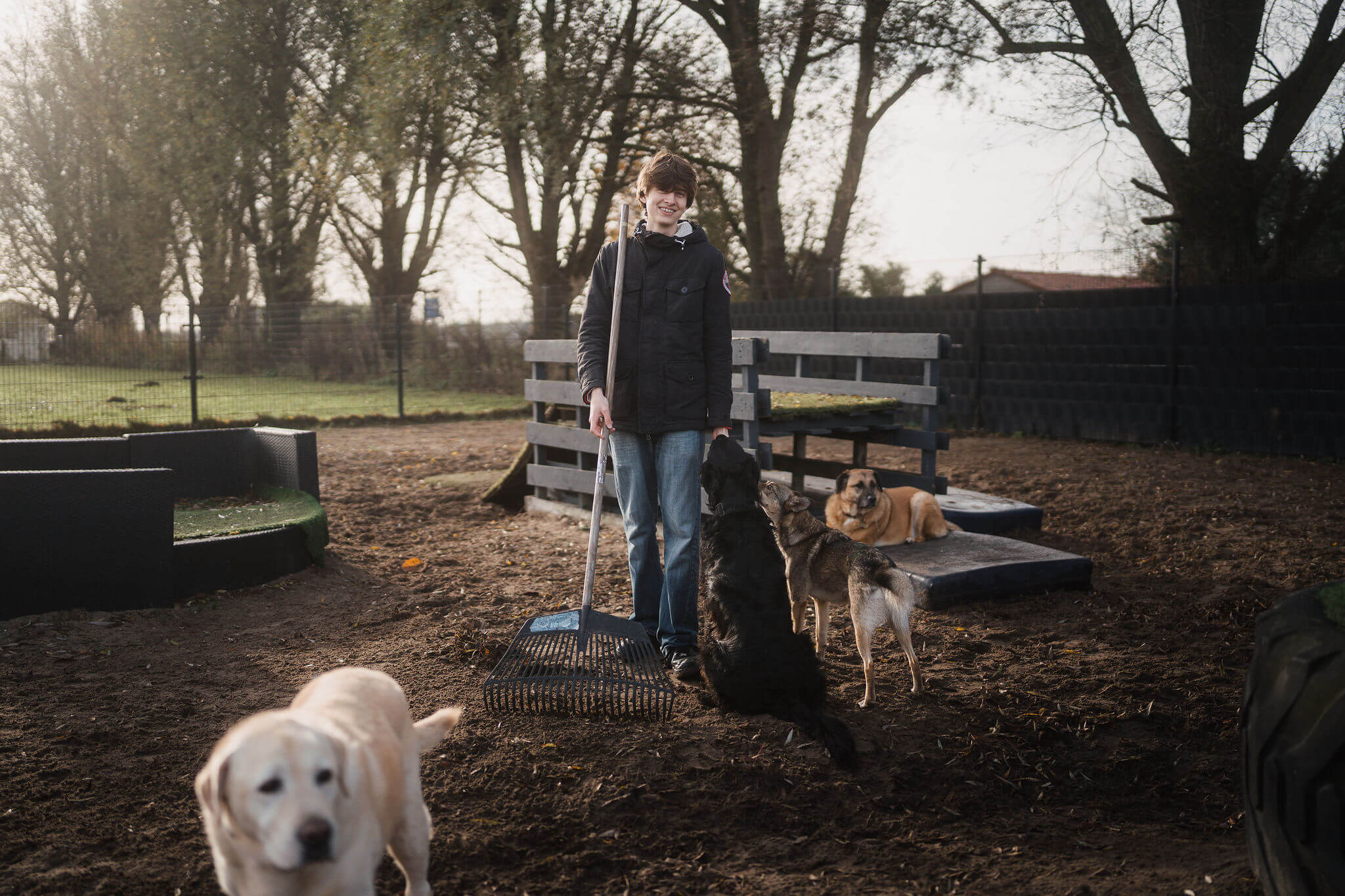 Afbeelding Assistent dienstverlening