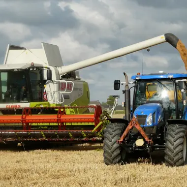 Landbouwwerktuigen laden geoogste granen op een veld voor verdere verwerking.