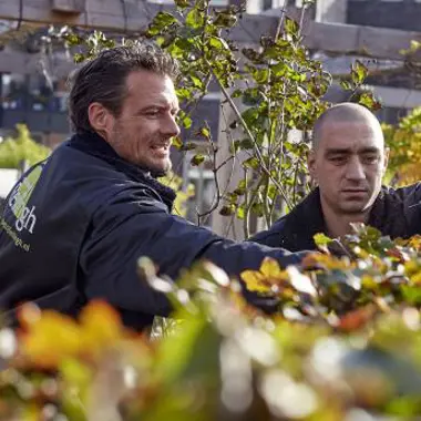 Twee werknemers onderhouden een buitenruimte door te snoeien en planten te verzorgen.