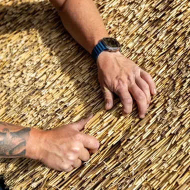Handen aan het werk met riet voor dakbedekking, vakman gespecialiseerd in bouw met natuurlijke materialen