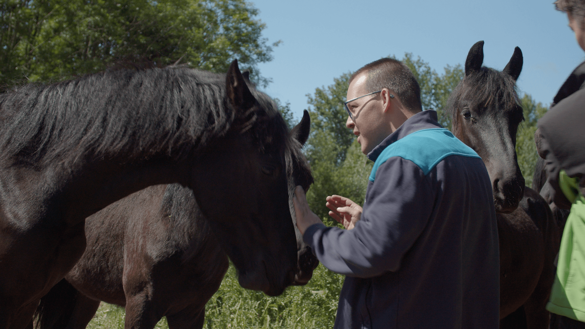 Begeleider op zorgboerderij benadert meerdere paarden in open buitenruimte om contact te stimuleren.