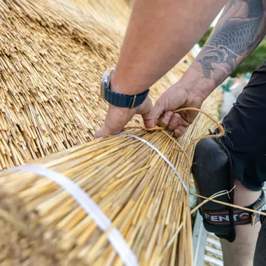 Vakspecialist bindt rietbundels voor dakbedekking bij een bouwproject