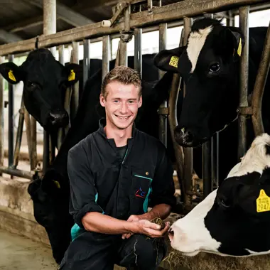 Jongeren verzorgen melkvee in stal en leren over diergedrag en welzijn in de groenopleiding