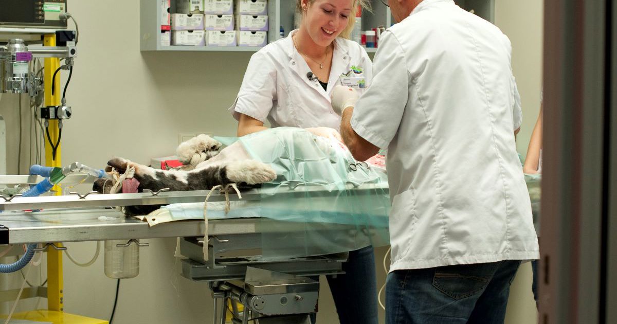 Benieuwd of mbo bij jou past?