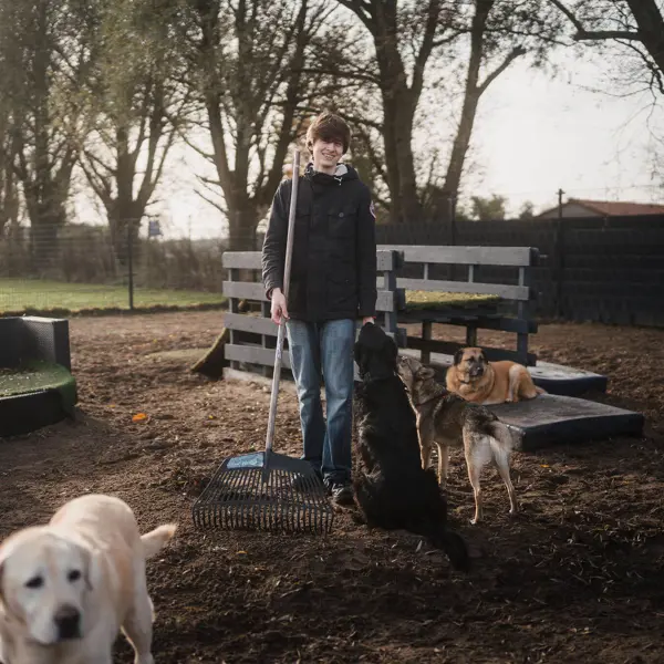 Een leerling helpt bij het schoonhouden van een dierenverblijf door te harken, met verschillende honden aanwezig.